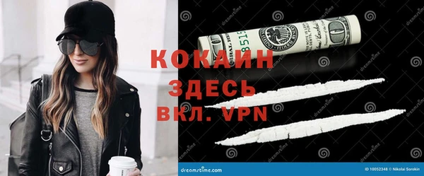 Альфа ПВП Аркадак