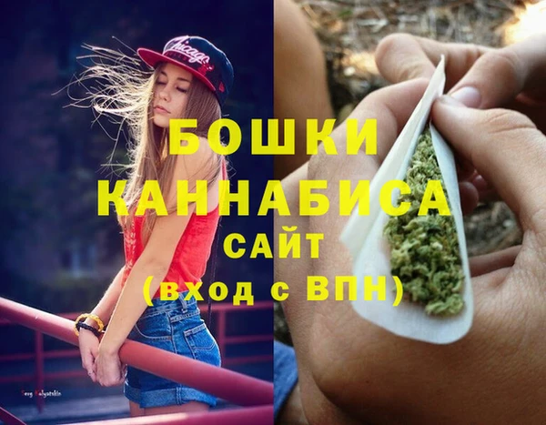 Альфа ПВП Аркадак