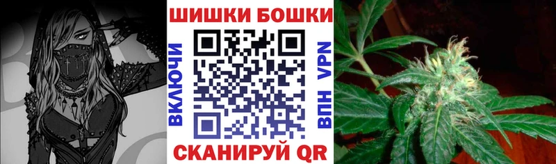 Бошки марихуана план Болохово